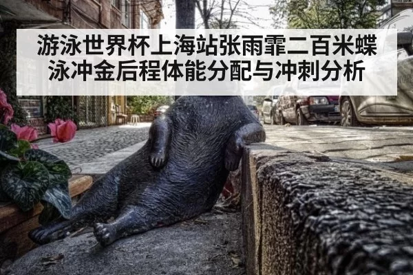 游泳世界杯上海站张雨霏二百米蝶泳冲金后程体能分配与冲刺分析